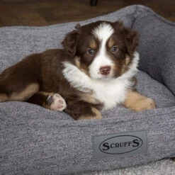 Scruffs Manhattan Box Bett -Optimal Tierbedarf Geschäft scruffs manhattan box bed 209513 0500 none