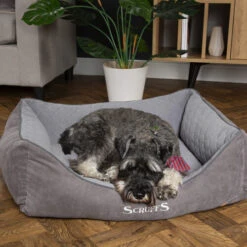 Scruffs Thermal Box Bed -Optimal Tierbedarf Geschäft scruffs thermal box bed 190825 0500 none
