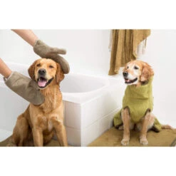 Siccaro DryGlove -Optimal Tierbedarf Geschäft siccaro dryglove 196901 0500 none