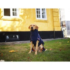 Siccaro WetDog SupremePro -Optimal Tierbedarf Geschäft siccaro wetdog supremepro 20 216994 0500 none