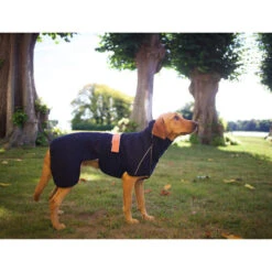 Siccaro WetDog SupremePro -Optimal Tierbedarf Geschäft siccaro wetdog supremepro 20 216995 0500 none