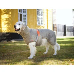 Siccaro WetDog SupremePro -Optimal Tierbedarf Geschäft siccaro wetdog supremepro 20 216997 0500 none