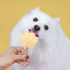 Smoofl Hundeeis Starter Kit 17 Smoofl Hundeeis Starter Kit -Optimal Tierbedarf Geschäft smoofl dog ice starter kit 195155 0500 none