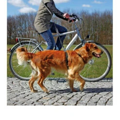 Trixie Fahrrad- Und Joggingleine