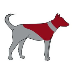 Trixie Aufblasbare Halskrause -Optimal Tierbedarf Geschäft trixie opblaasbare beschermkraag 101866 0500 none