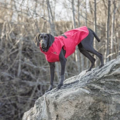 Trixie Regenjacke Vimy -Optimal Tierbedarf Geschäft trixie regenjas vimy 204854 0500 none