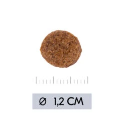 Vetality Hypoallergenic - Hundefutter -Optimal Tierbedarf Geschäft vetality hypoallergenic hondenvoer 195473 0500 none