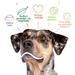 Yarrah - Bio Trockenfutter Vega Getreidefrei -Optimal Tierbedarf Geschäft yarrah bio droogvoer hond vega graanvrij 201212 0500 none