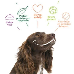 Yarrah - Hundefutter In Soße Vega Mit Hagebutten Bio -Optimal Tierbedarf Geschäft yarrah bio natvoer hond kuipje chunks vega 200843 0500 none