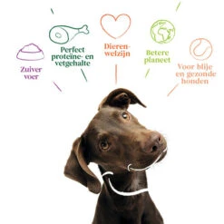 Yarrah - Getreidefreies Trockenfutter Bio -Optimal Tierbedarf Geschäft yarrah droogvoer hond graanvrij bio 201170 0500 none