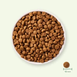 Yarrah - Trockenfutter Für Welpen Mit Huhn Bio -Optimal Tierbedarf Geschäft yarrah droogvoer puppy bio 199694 0500 none