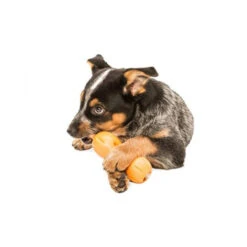 Zogoflex Qwizl -Optimal Tierbedarf Geschäft zogoflex qwizl 136852 0500 none